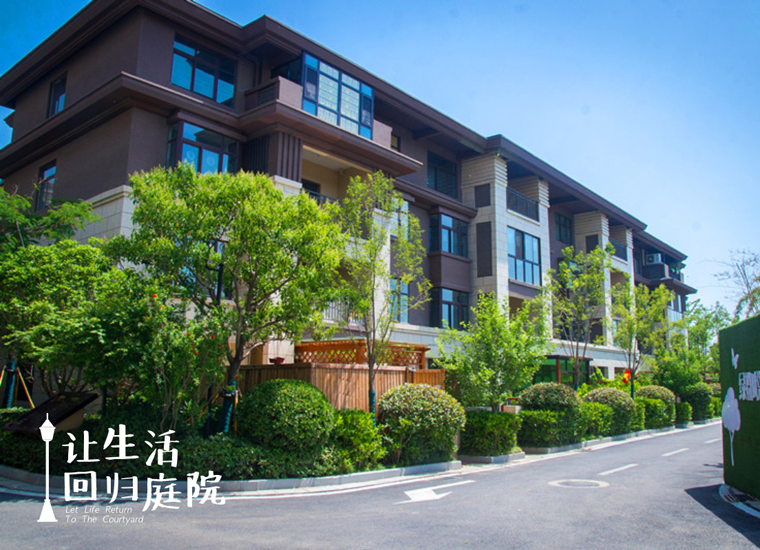 前后张望南阳50年：这样的天井，很难再有了！