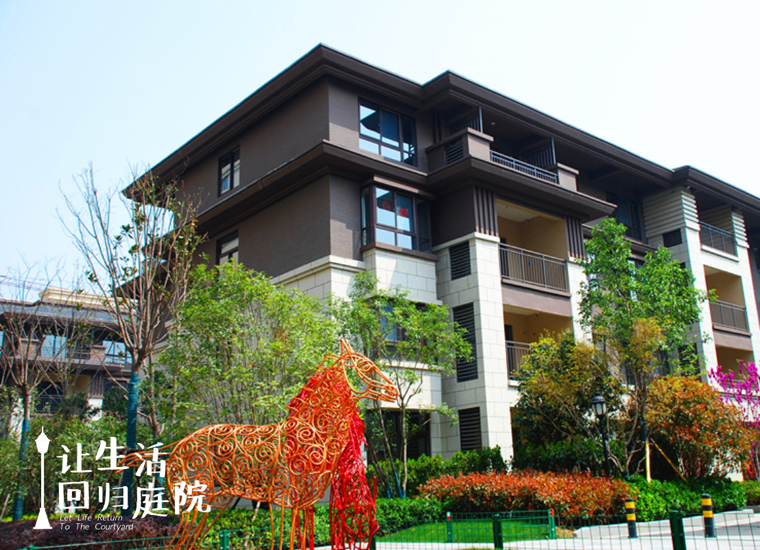 前后张望南阳50年：这样的天井，很难再有了！