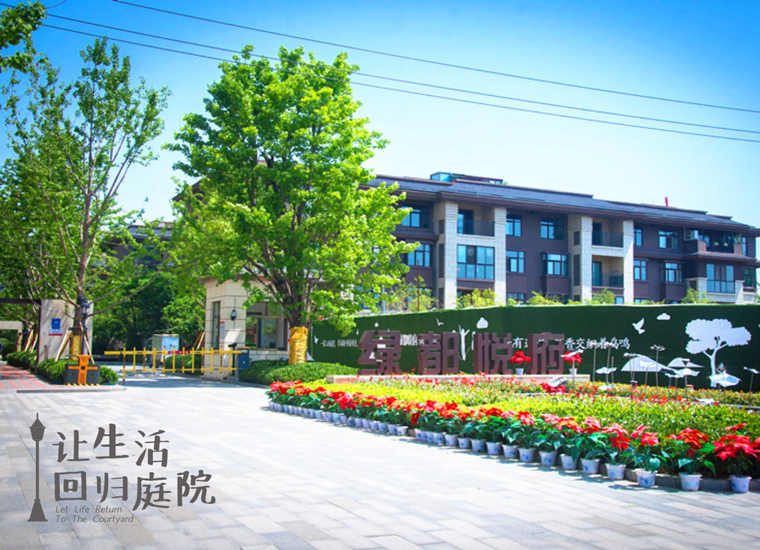 前后张望南阳50年：这样的天井，很难再有了！