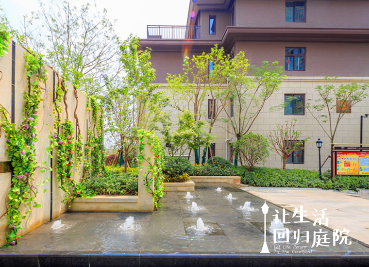 前后张望南阳50年：这样的天井，很难再有了！