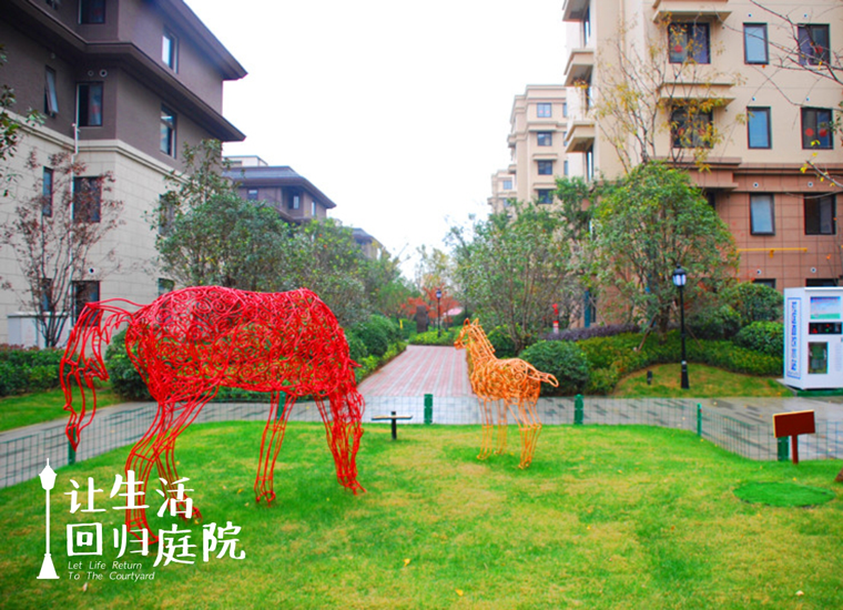 前后张望南阳50年：这样的天井，很难再有了！